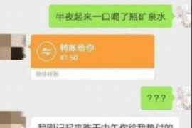 龙安融资清欠服务